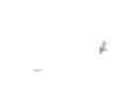 
Portfolio 4  