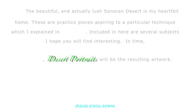        The beautiful, and actually lush Sonoran Desert is my heartfelt home. These are practice pieces aspiring to a particular technique which I explained in Biography. Included in here are several subjects I hope you will find interesting.  In time,
Portfolio 7, Desert Portraits, will be the resulting artwork.  



(PLEASE SCROLL DOWN)